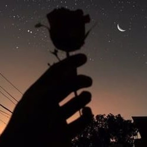 裸体㊙️免费看
